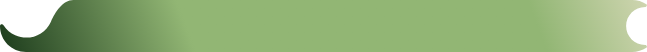 liders_bg
